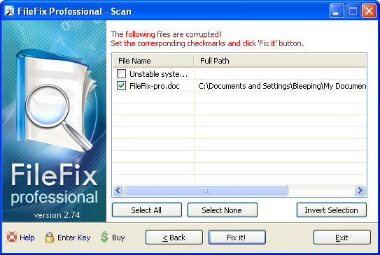 FileFix Professional 2009 removal