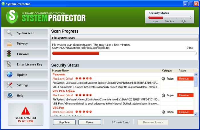 System Protector removal
