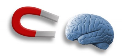 brain_magnet