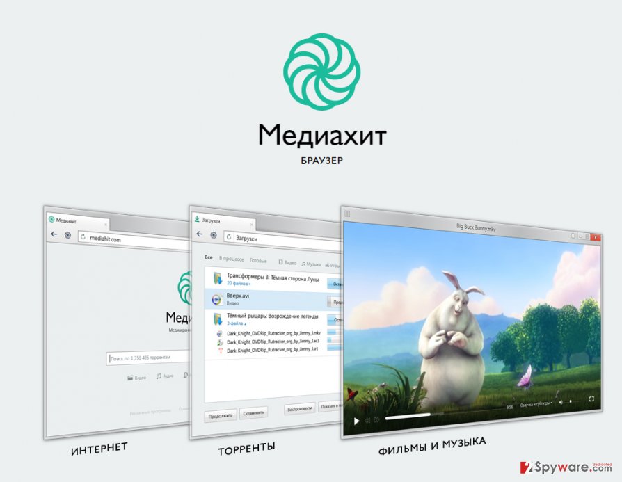 Mediahit Browser snapshot Mediahit Browser snapshot