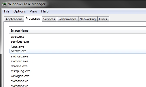 netsvc.exe netsvc.exe