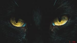 BlackCat ransomware improving data exfiltration tools