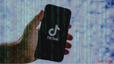 TikTok Pro app steals important information