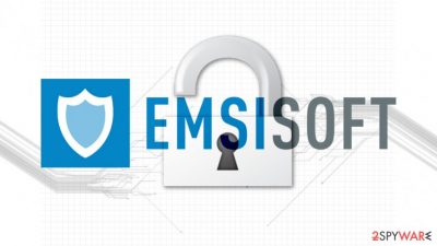 Emsisoft created a new STOP/Djvu decryptor