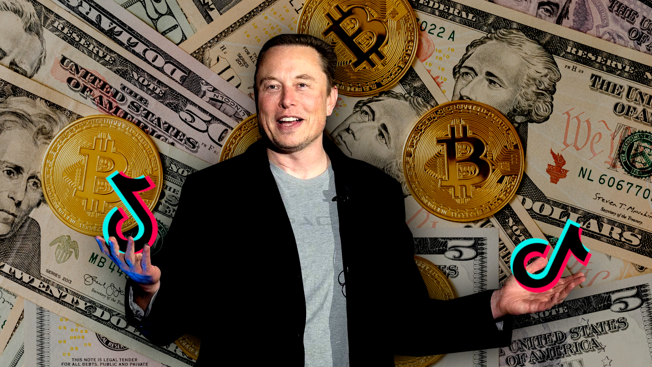 Fake Elon Musk cryptocurrency giveaways swarm TikTok