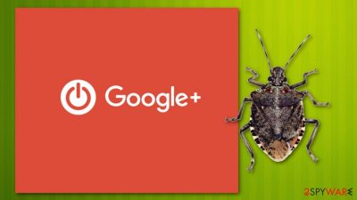 API bug affected Google+ accounts