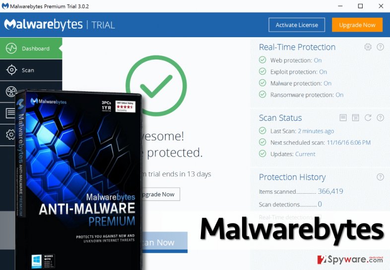 most malwarebytes viruses