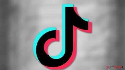 Flaw in China's TikTok was found