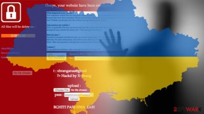 Ukraine's ministry of energy website hacked