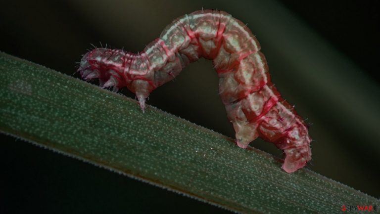 Webworm hackers modified old RAT malware to evade attribution