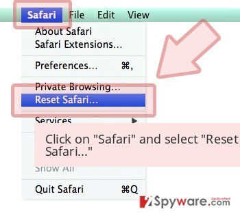 Click on 'Safari' and select 'Reset Safari...' 