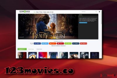 123movies.co hijacker