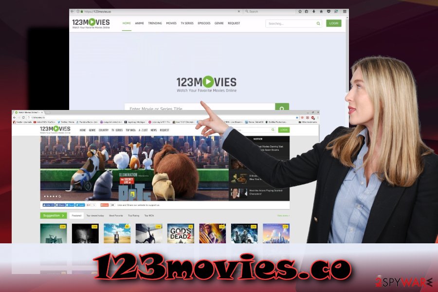 123movies.co potentially unwanted application