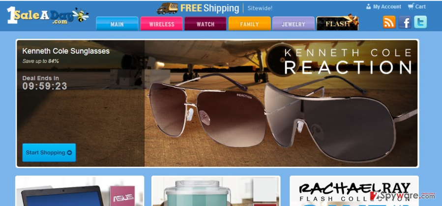 1SaleADay ads snapshot 1SaleADay ads snapshot