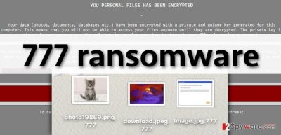 777 malware locks files and asks to buy a decryption key