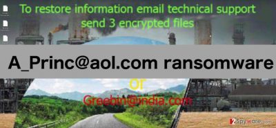 A_Princ@aol.com ransomware image