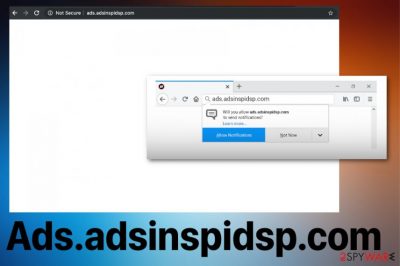 Ads.adsinspidsp.com