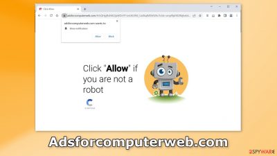 Adsforcomputerweb.com