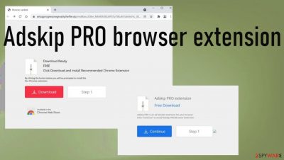 Adskip PRO browser extension 