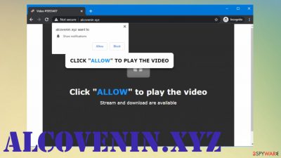 Alcovenin.xyz ads