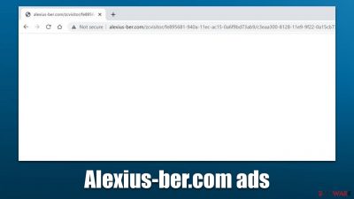 Alexius-ber.com