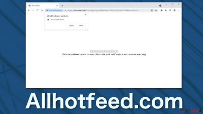 Allhotfeed.com