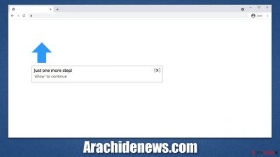 Arachidenews.com