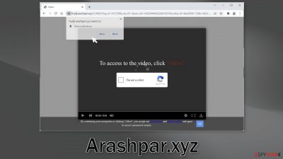 Arashpar.xyz