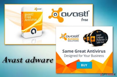 Avast adware