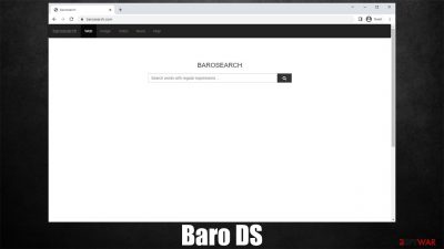 Baro DS