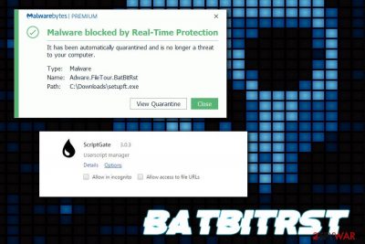 BatBitRst virus