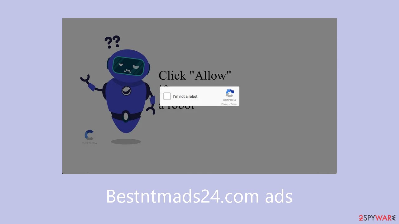 Bestntmads24.com ads