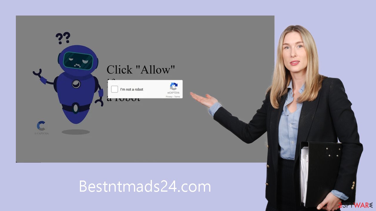 Bestntmads24.com