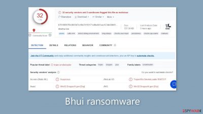 Bhui ransomware