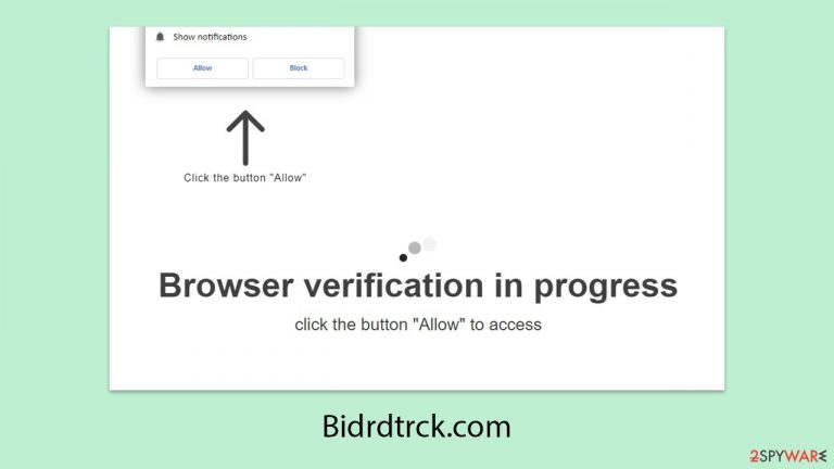 Birdtrck.com