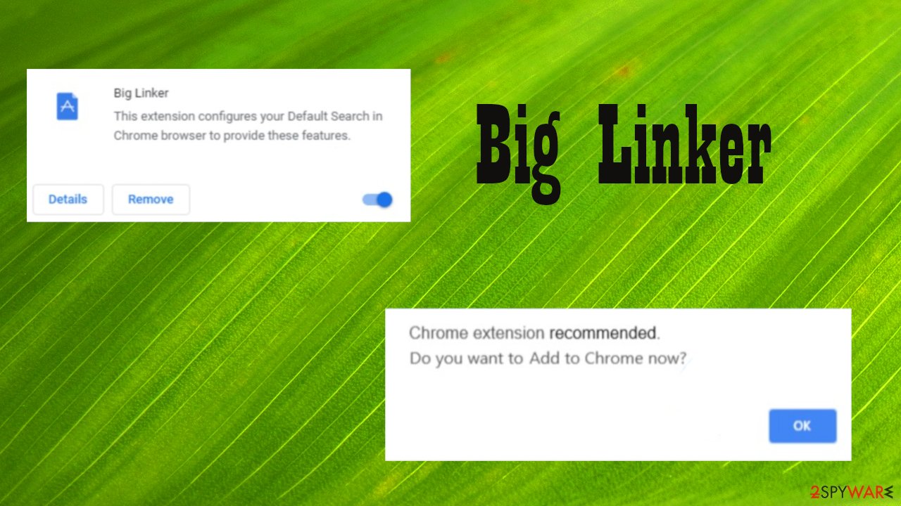 Big Linker virus