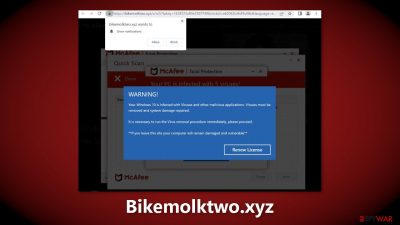 Bikemolktwo.xyz