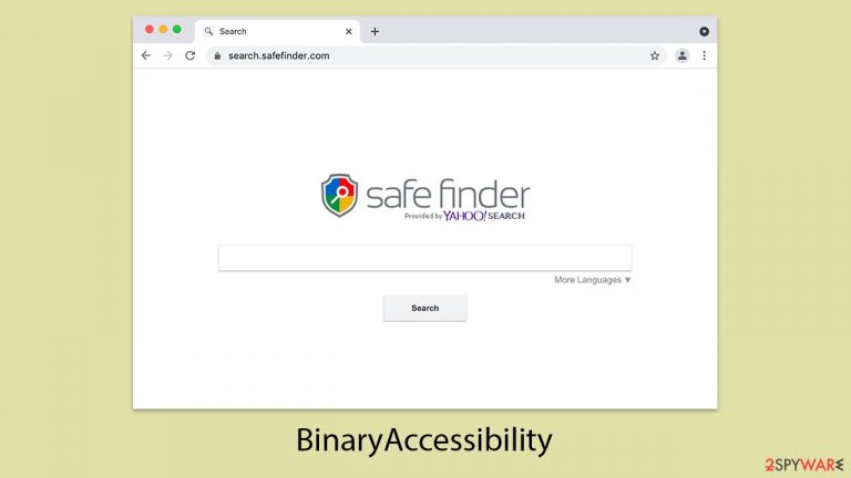 BinaryAccessibility