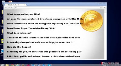 The image revealing BicoinRush ransomware