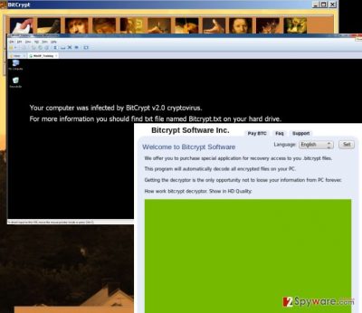 An image of the BitCrypt 2.0 ransomware virus