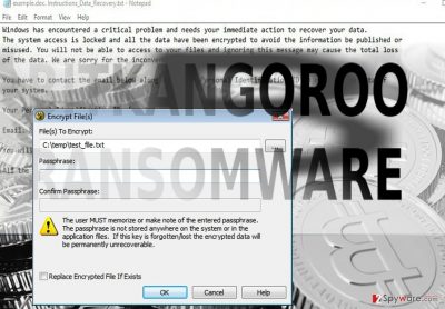 The screenshot of BitKangoroo malware