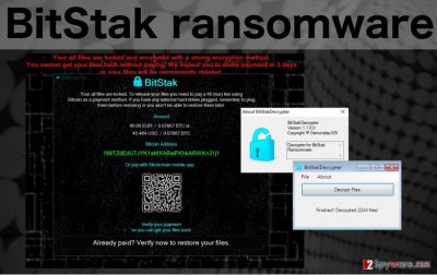 An illustration of BitStak ransomware virus ransom note and decryptor