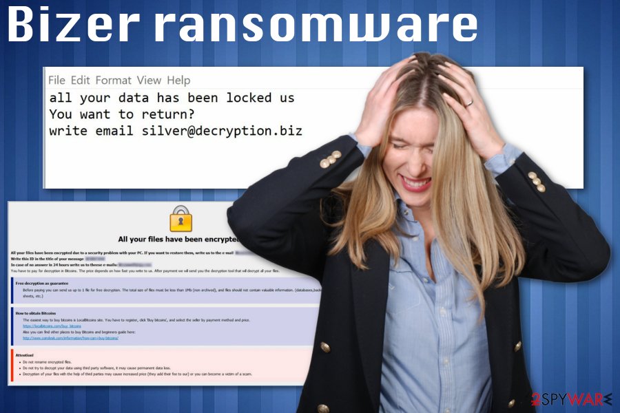 Bizer ransomware virus