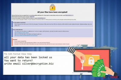 Bizer ransomware