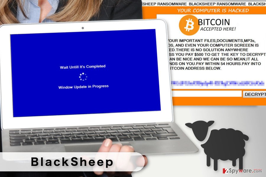 The illustration of BlackSheep ransomware virus