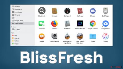 BlissFresh