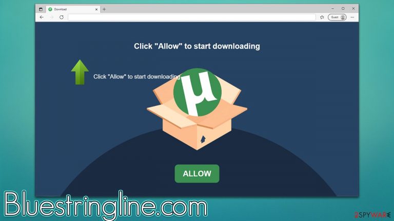 Bluestringline.com