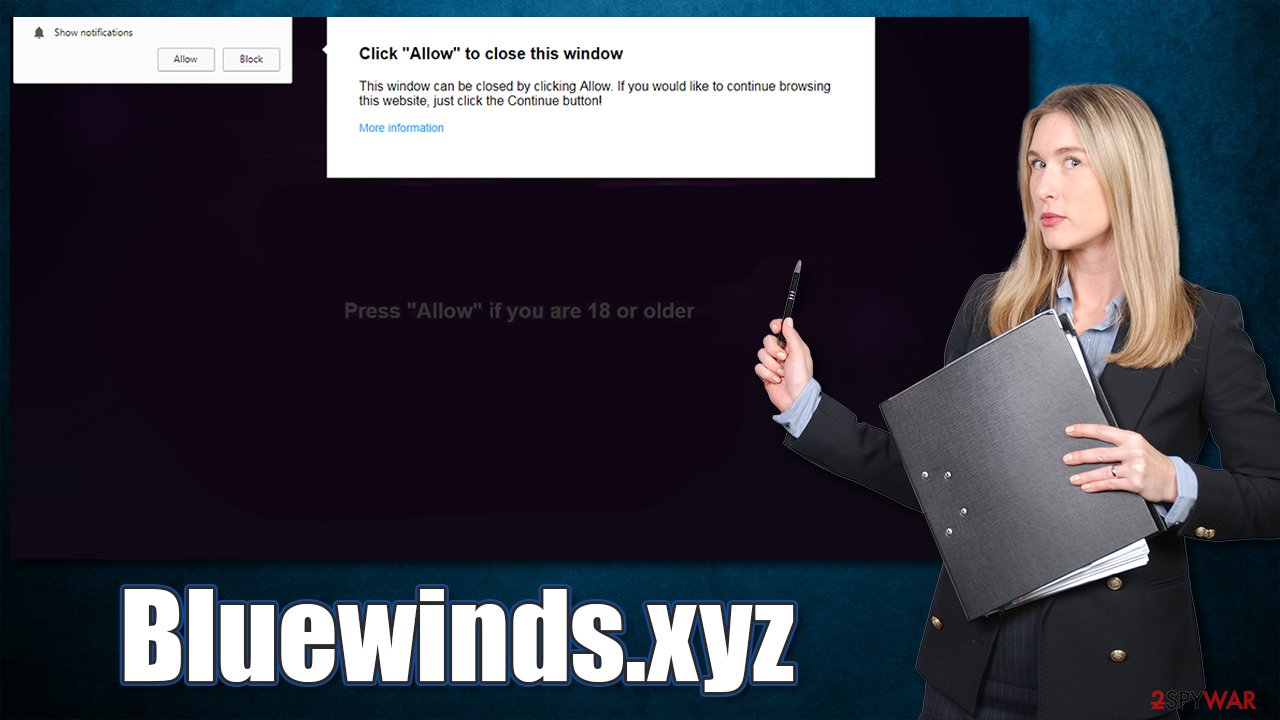 Bluewinds.xyz scam