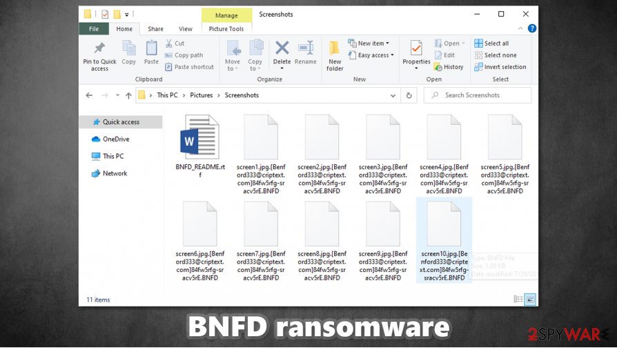 BNFD ransomware encrypted files