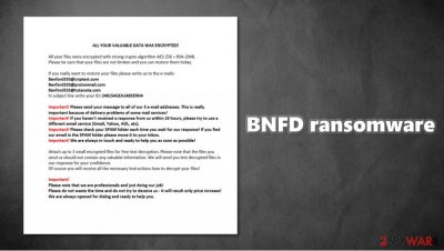 BNFD ransomware